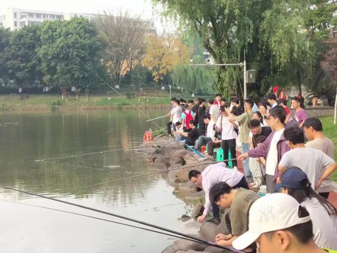 71D9084C1F8802FF39A3E4A647DF0A45